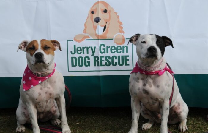 A picture of two dogs infront of a jerry green dog rescue logo